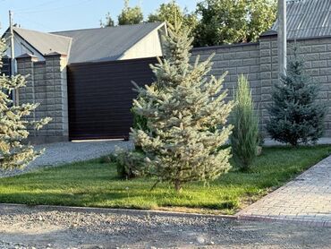 Отели и хостелы: Продается Гостевой дом или дача в Новопокровке (ближе к центру) — 3