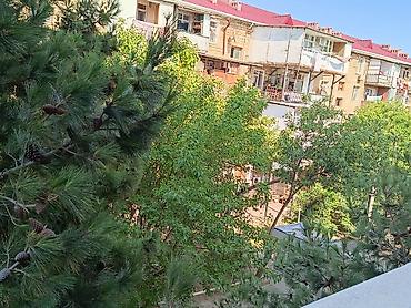 yaşıl ada sumqayıt: 📍 Ünvan: Sumqayıt şəhəri, 1-ci mikrorayon, “Pervi” adlanan ərazi – — 9