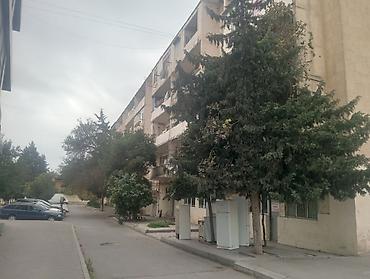 şamaxı kirayə ev: Binenin duz merkezinde Eli İsazadə 1 A ünvanında yerləşən köhne 5 — 10
