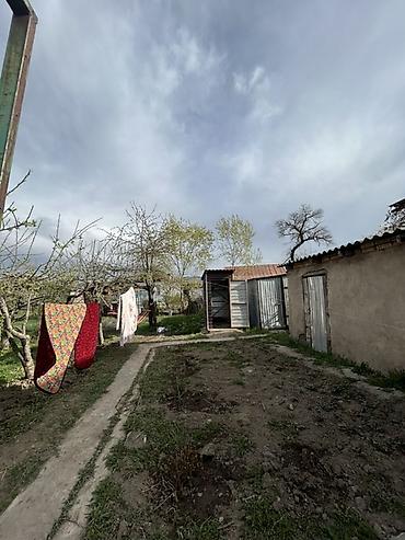 Продажа коттеджей и домов: Продается жилой дом с большим земельным участком и хозяйственным — 3