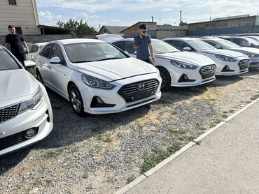 Hyundai: Арендага берилет