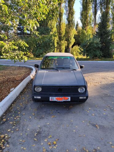 Volkswagen Golf: 1989 г., Механика, Хэтчбэк