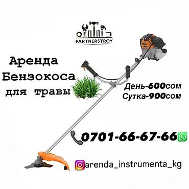 ботва удалитель: Аренда садовой техники, Триммер, мотокоса — 1