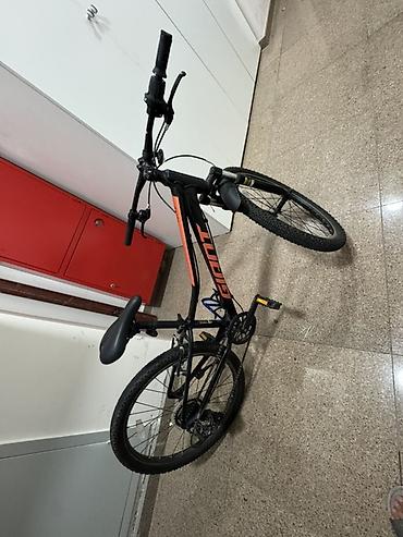 токолка вип: Детский горный велосипед GIANT Talon 24 (Valencia) - Диаметр колес — 2