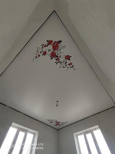 Натяжной потолок: Натяжной потолок 3D потолки, Матовое, Глянцевое Гарантия, Монтаж, Бесплатный замер — 4