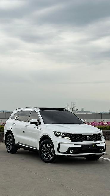 Kia: Kia Sorento: 2020 г., 1.6 л, Автомат, Гибрид — 1