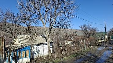 мини столовая: Продаётся дача в Беш-кунгое. 10 минут до города, свежий воздух, без — 8