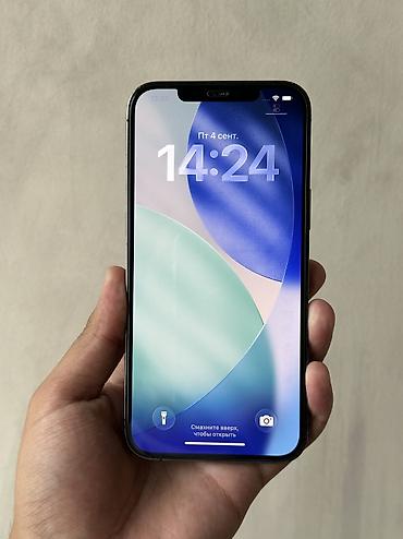 купить iphone 12 бу: IPhone 12 Pro Max, Б/у, 256 ГБ, Matte Space Gray, Защитное стекло, Чехол, 83 % — 2