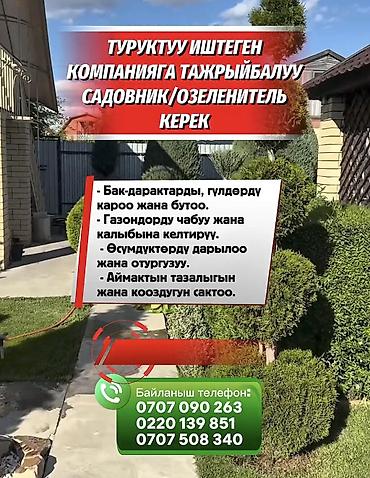 Вакансии: ТУРУКТУУ ИШТЕГЕН КОМПАНИЯГА ТАЖРЫЙБАЛУУ САДОВНИК/ОЗЕЛЕНИТЕЛЬ КЕРЕК - — 1