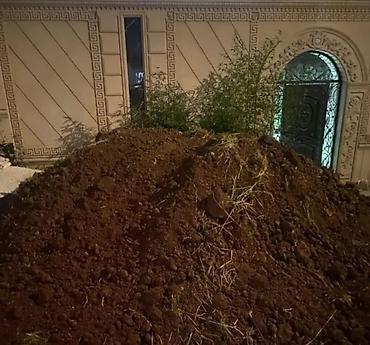 qara torpaq ve peyin: Məhsul: Torpaq və qara torpaq (landşaft və əkin üçün) Təsvir: - — 3