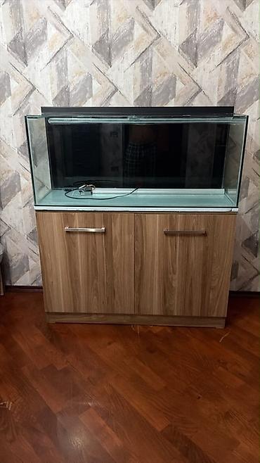 mal heyvan: 120X40X50 Akvarium.10 Luq şüşe ile yığılıb Mebel ile satılır Mebelde — 1