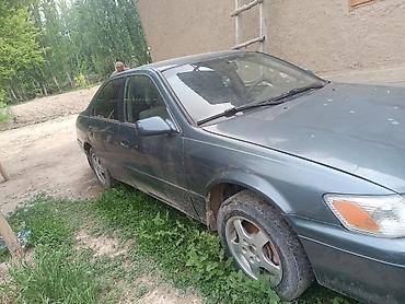 ноускат камри 70: Toyota Camry: 2000 г., Автомат, Седан — 2