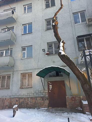 Продажа комнат: 29 м², С мебелью at lalafo.kg — 7 Продажа комнат: 29 м², С мебелью — 7