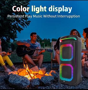 zqs: Портативная акустическая система Sing-e ZQS10220 (10" PARTY) - Мощная — 1