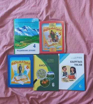 сумка для школы 8 класс: Учебники 4 5 6 класс.
В хорошем состоянии
6 класс учебники новые
