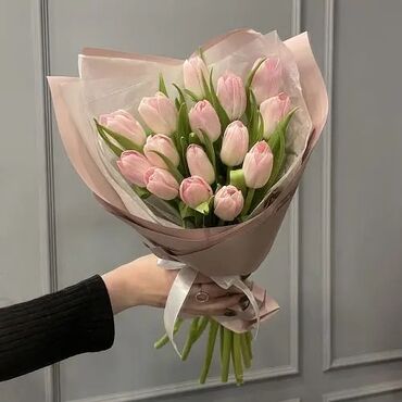 цветы на 8 марта: Семена и саженцы Тюльпанов, Роз, Бесплатная доставка