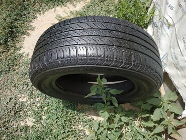 масляный радиатор опель зафира: Шиналар 205 / 60 / R 15, Жай, Колдонулган, 1 даана, Жеңил унаалар, Германия, Continental