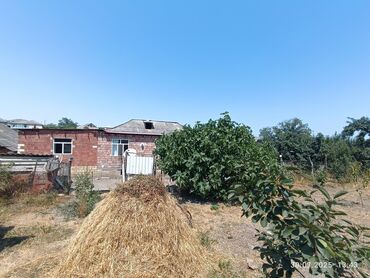 quba a frame evlər: 18 sot torpaq sahəsi olan ev ilə birlikdə satılır tam məlumat üçün