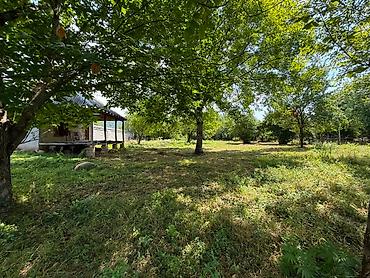 qalada torpaq: 10 sot, Tikinti, Mülkiyyətçi, Kupça (Çıxarış) — 6