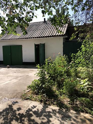 Продажа сельхоз предприятий: Срочно продаю дом 30 сотоксело Чат куль Ул Ленина 10, сукулукскии — 4