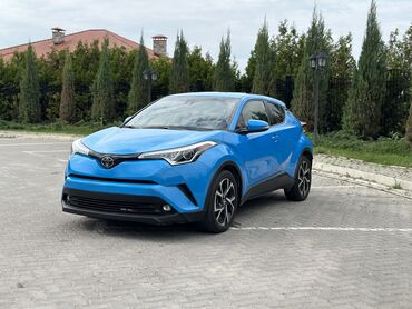 toyota croyn: Toyota CH-R: 2019 г., 2 л, Автомат, Бензин, Кроссовер