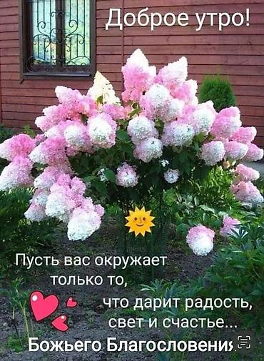 qc: Ищу работу любое — 1