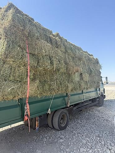 бирки для животных: С доставкой Сено в тюках - Прессованные прямоугольные тюки, стянутые — 2