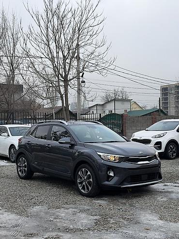 Kia: Kia Stonic: 2019 г., 1.4 л, Автомат, Бензин, Хэтчбэк — 3