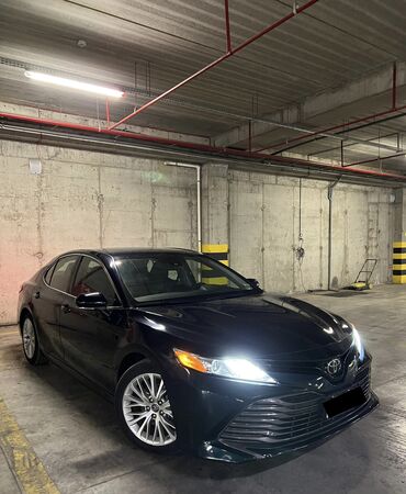 камры: Toyota Camry: 2019 г., 2.5 л, Автомат, Бензин, Седан