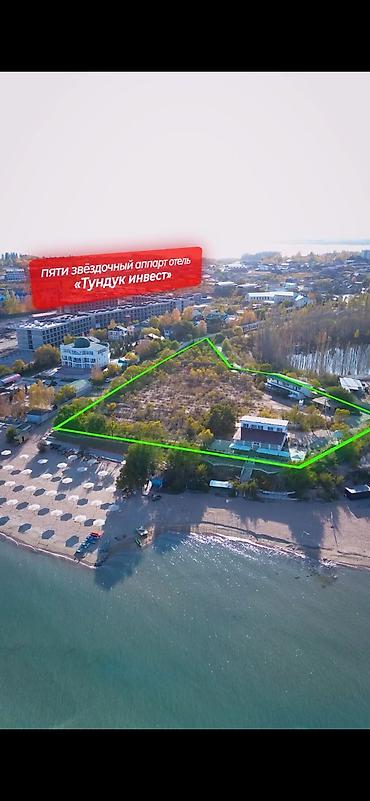 чолп: 83 соток, Бизнес үчүн, Кызыл китеп — 3