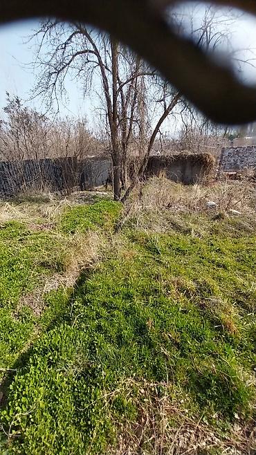 Продажа дач: Срочно продаю дачу, с.Арашан, СТ "Электрик", ул.Тепловик, участок, 3 — 13