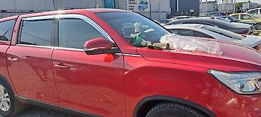 Ветровики и мухобойки: Toyota, Новый — 22