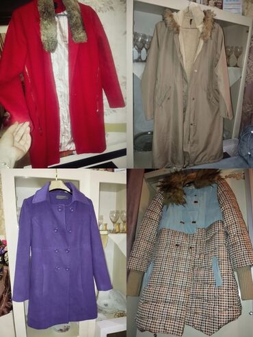 Kurtkalar: Her biri tezekimidi təcil satılır ucuz qiymətə maksimum dərəcədə — 4