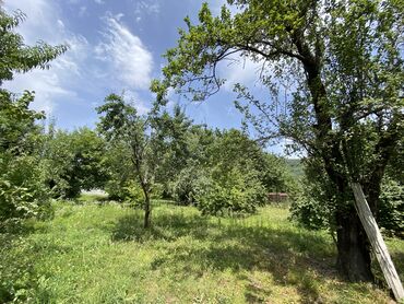 Torpaq sahələrinin satışı: 12 sot, Tikinti, Mülkiyyətçi, Kupça (Çıxarış) — 6