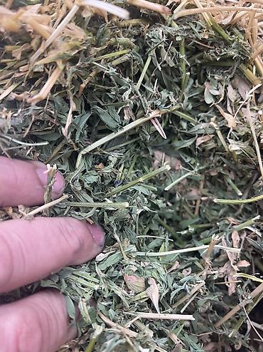 Корма для с/х животных: Люцерновое сено в тюках в Сокулуке. Тюки плотные 2-3-й кос,метровые — 6