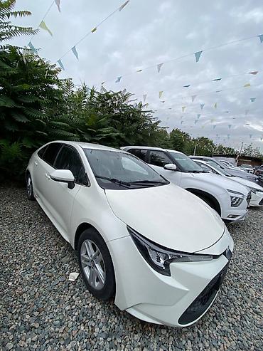 Услуги автокрана: Toyota levin
год 2022
1.5 — 2