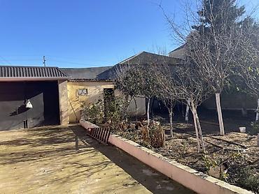 Həyət evləri və villaların satışı: 6 otaqlı, 200 kv. m, Kredit yoxdur, Orta təmir — 19