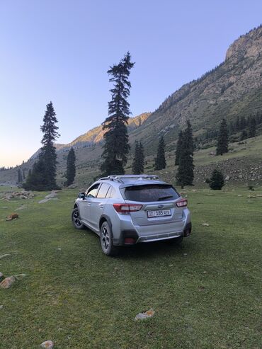 Subaru: Subaru Crosstrek: 2017 г., 2 л, Вариатор, Бензин, Кроссовер — 12