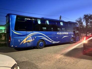 Организация мероприятий: Предлагаем туры в Хоргос с комфортабельным VIP автобусом, оснащенным — 8