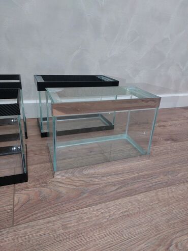 Akvariumlar: Ölçü 30×20×15

Ev və ofis üçün estetik, baxımı asan mini akvaryum — 11