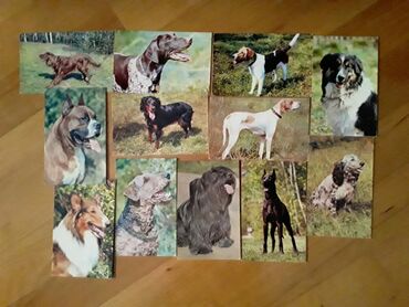 Açıqcalar: Советские открытки.Есть еще закладки для — 22