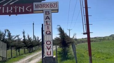 Torpaq: 300 sot, Biznes üçün, Mülkiyyətçi, Kupça (Çıxarış)