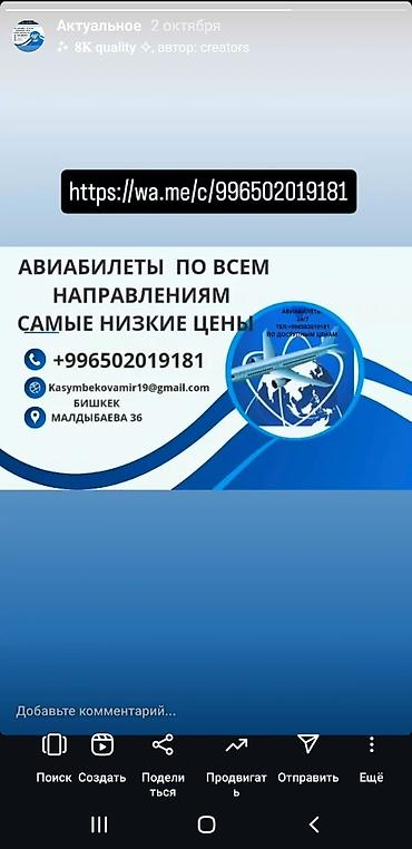 мейкин азия билеты: АВИАБИЛЕТЫ по всем НАПРАВЛЕНИЯМ по доступным ценам Авиабилеттер — 1