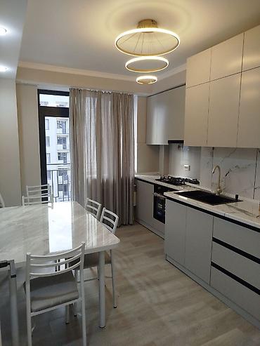 Новостройки от застройщика: Современная квартира в новом жилом комплексе - Дом монолитный, фасады — 10