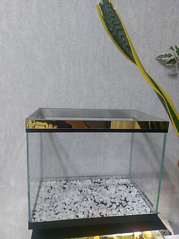 akvarium qızdırıcı: Qold Akvaryum çox gözəl görnüşə malikdi yenidi ölçü 35×22×29 bunan — 4