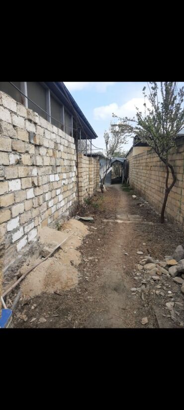 Bağ evlərinin satışı: Xaçmaz, 60 kv. m, 3 otaqlı, Hovuzsuz, Artezian quyusu, Telefon, İnternet -da lalafo.az — 2 Bağ evlərinin satışı: Xaçmaz, 60 kv. m, 3 otaqlı, Hovuzsuz, Artezian quyusu, Telefon, İnternet — 2