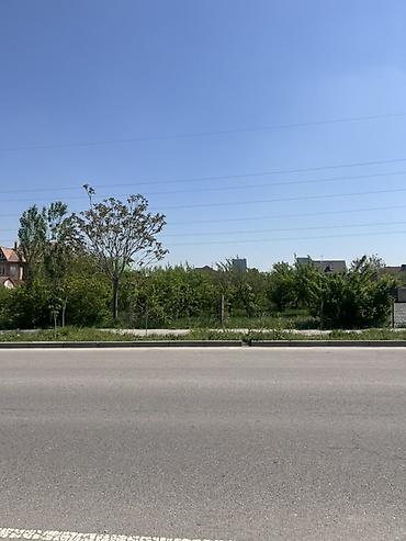 план дома: 6 соток, Для бизнеса, Красная книга — 2