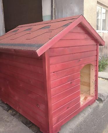 диск пес: Продаю Будку для Больших собак Алабая — 2