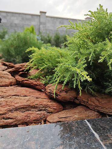 Ремонт под ключ: АВТОПОЛИВ и ОЗЕЛЕНЕНИЕ Ландшафтный дизайн ### Вашего — 21