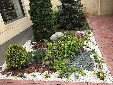 Дизайн, проектирование: Ландшафтный дизайн авто полив водопады пруды водоемы ручьи посев — 4